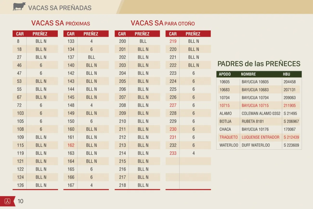 Imagen 10