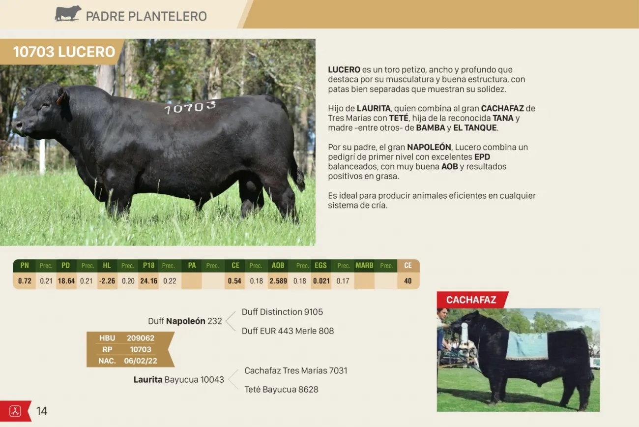 Imagen 14