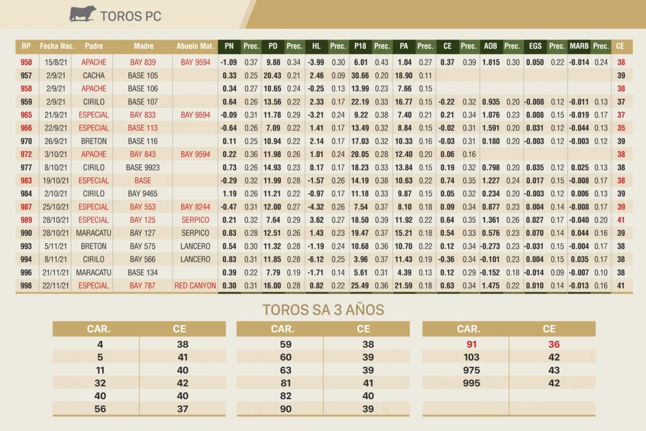 Imagen 20