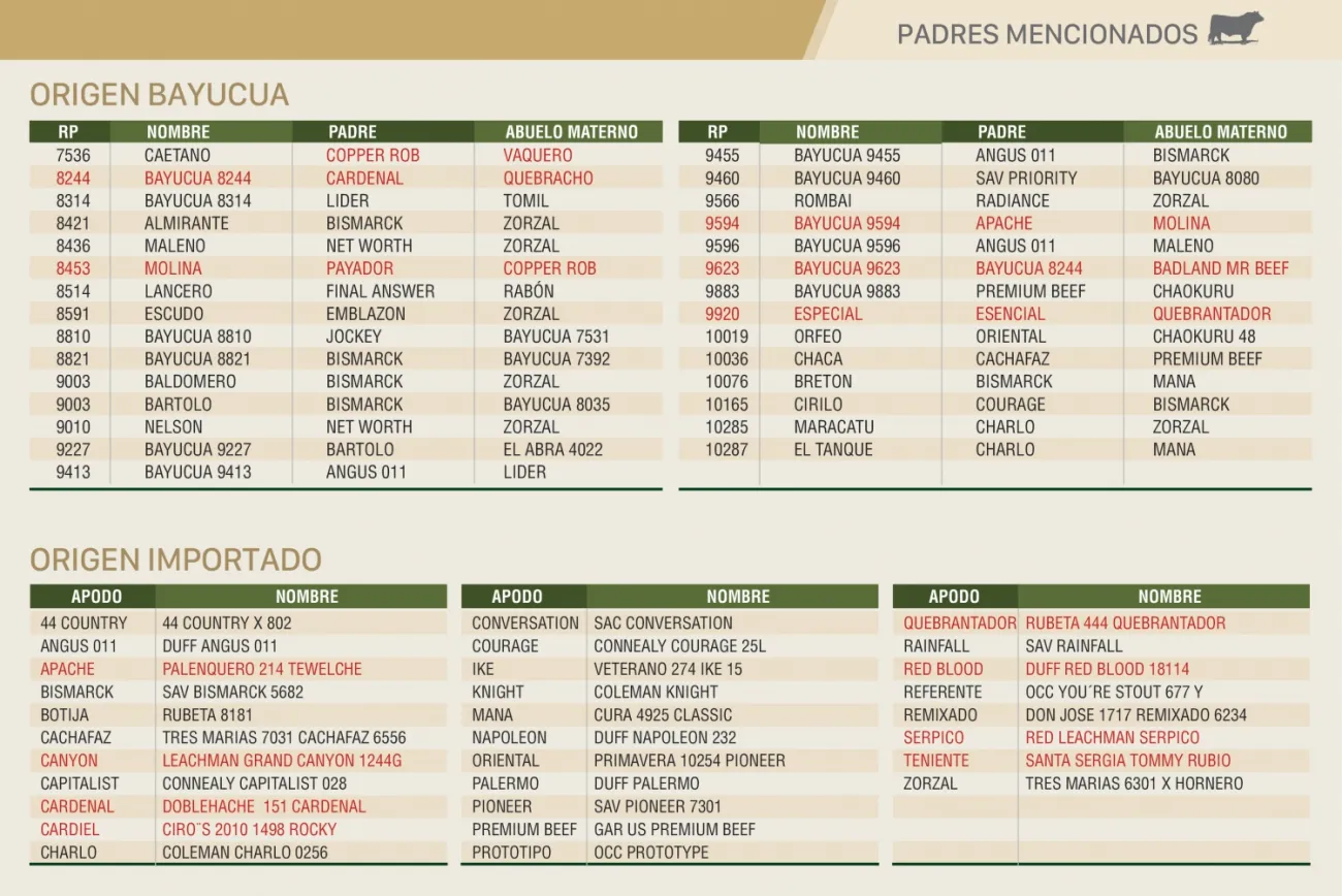 Imagen 21